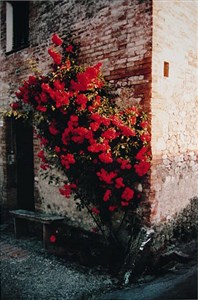 Image description is not available for 1997.012